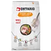 Ontario Cat Shorthair 6,5 kg