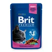 Brit Premium Cat Pouches with Chicken & Turkey 100 g