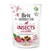 Brit Care Dog Crunchy Cracker Insects with Lamb enriched with Raspberries 200 g 