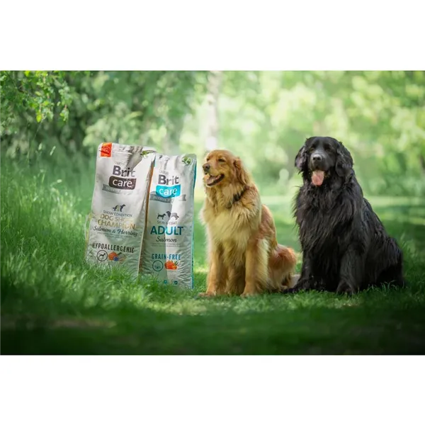 Brit Care Dog Grain-free Adult Salmon & Potato 3 kg 