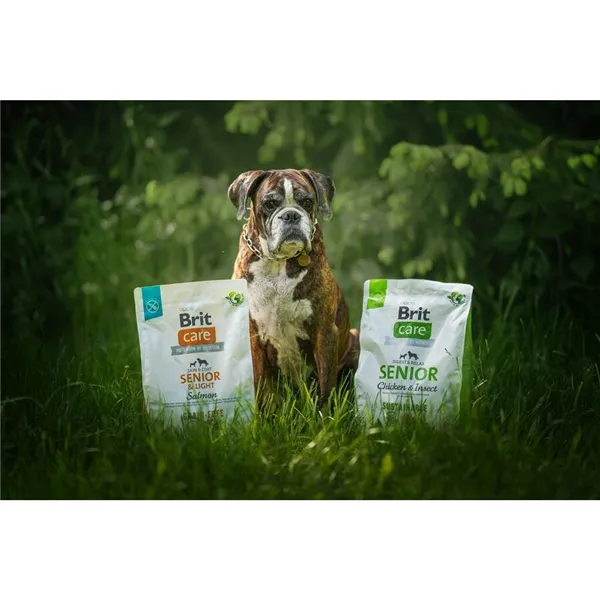 Brit Care Dog Sustainable Senior 12 kg 