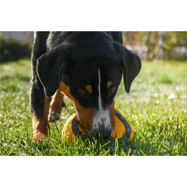 Brit Plush Toy For Dogs Heart 