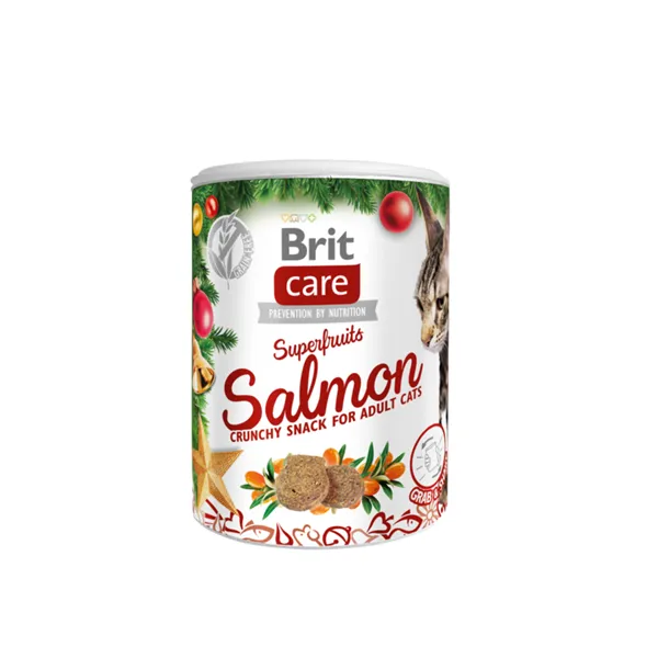 Brit Care Cat Christmas Superfruits 100 g