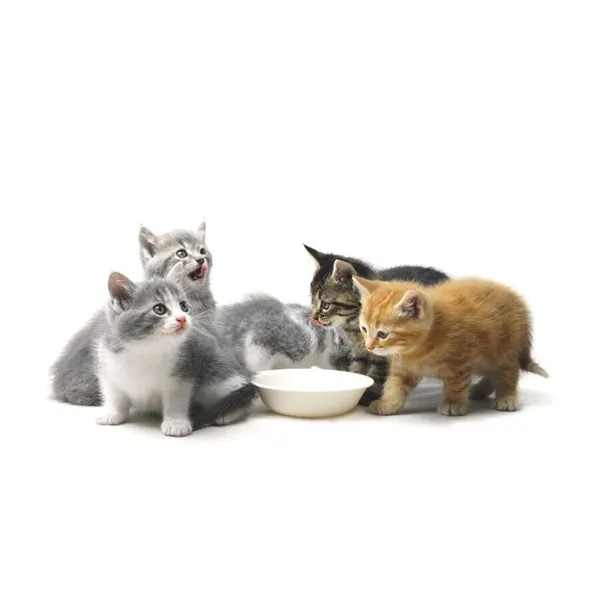 Brit Care Kitten Milk 250 g