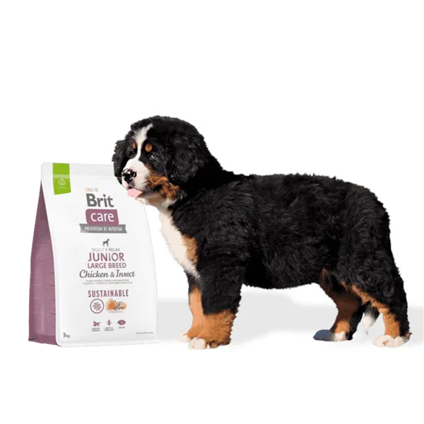 Brit Care Dog Sustainable Junior Large Breed 12 kg 