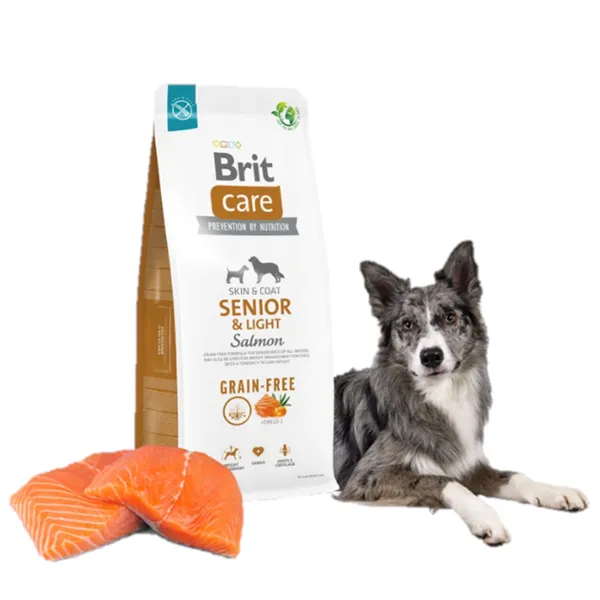 Brit Care Dog Grain-free Senior & Light Salmon 3 kg