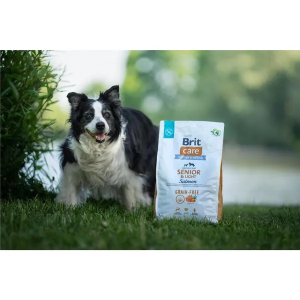 Brit Care Dog Grain-free Senior & Light Salmon 3 kg