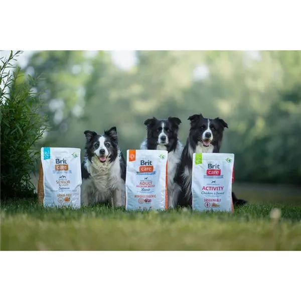 Brit Care Dog Grain-free Senior & Light Salmon 3 kg