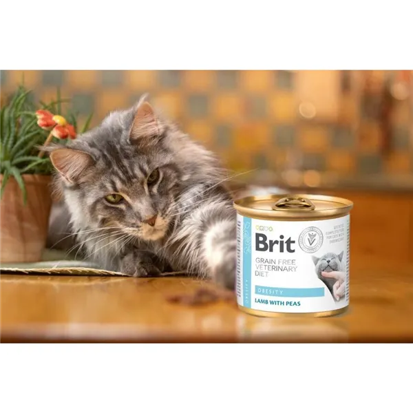 Brit GF Veterinary Diet Cat Cans Obesity 200 g 