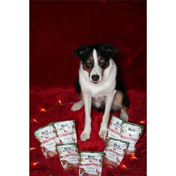 Brit Care Dog Functional Snack Christmas Edition 150 g