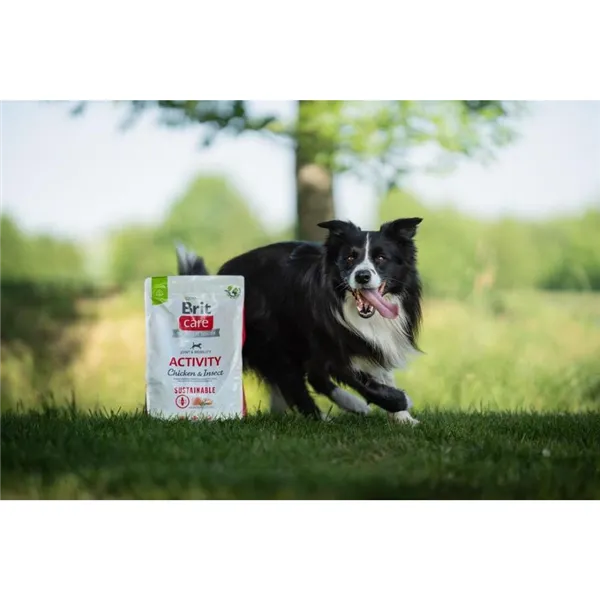 Brit Care Dog Sustainable Activity 12 kg 