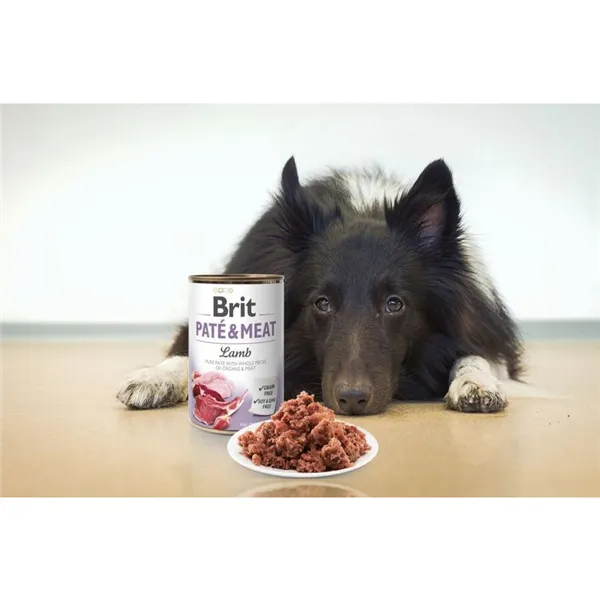 Brit Paté & Meat Dog Lamb 400 g 