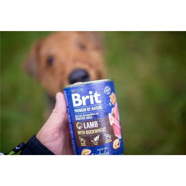 Brit Premium by Nature Lamb with Buckwheat 400 g 