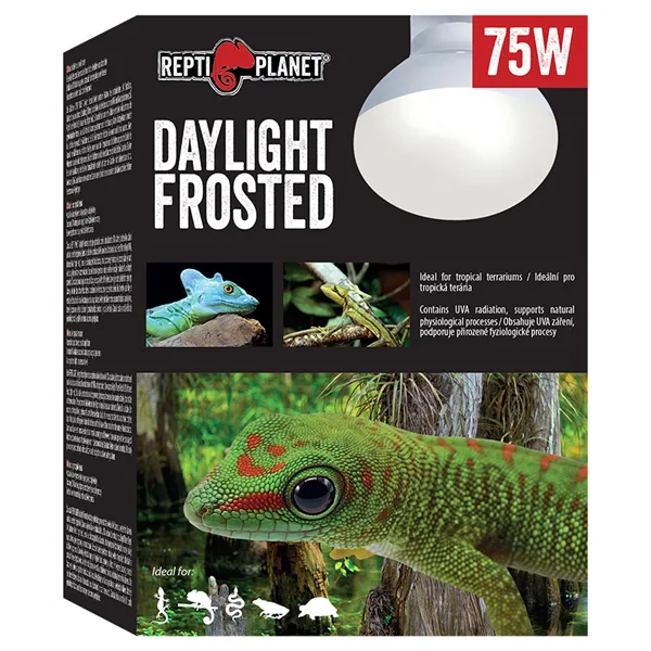 Žárovka REPTI PLANET Daylight Frosted 75 W